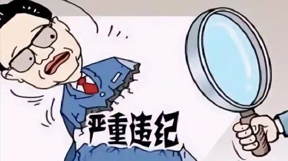 我是从部队转业到地方的公务员，因醉驾被双开，现在该怎么办啊？